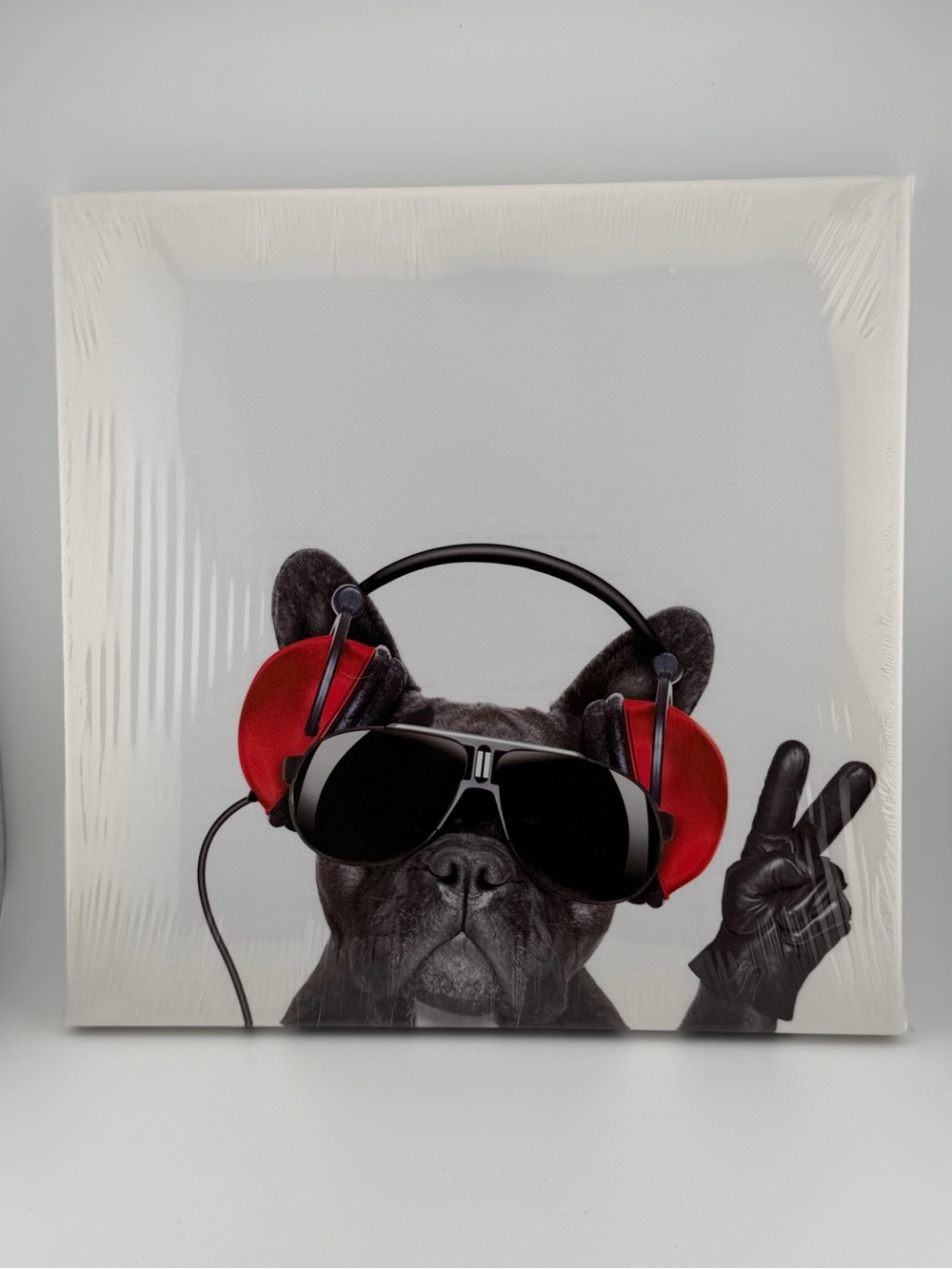 French Bulldog Sunglasses Red Headphones Wall Art